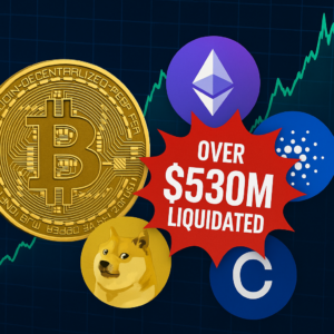 🚀 Crypto Market Roars Back: $530M in Short Positions Liquidated as Bitcoin Surpasses $93K